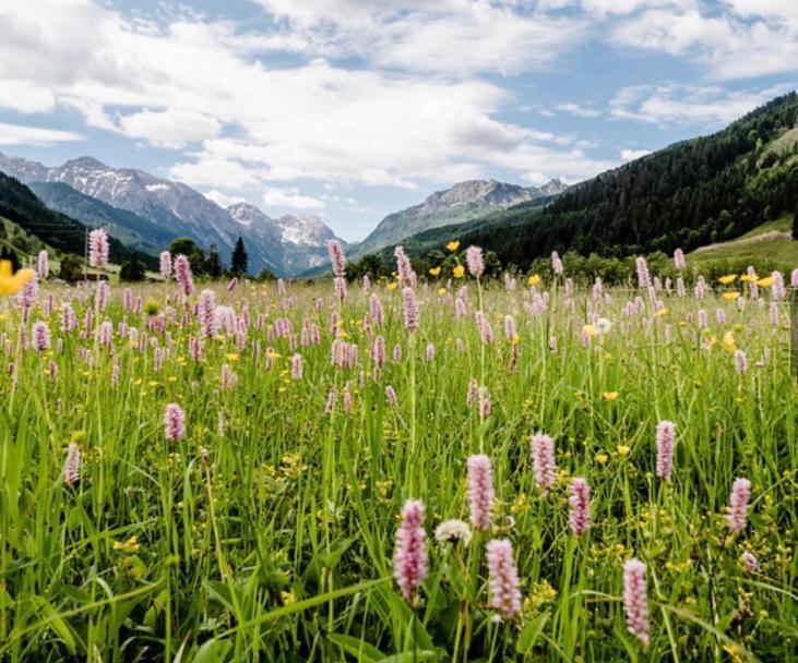 Hotel Alpina Kleinarl Bagian luar foto