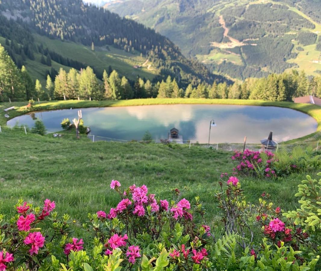 Hotel Alpina Kleinarl Bagian luar foto
